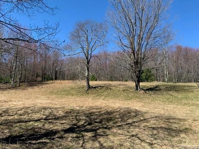 25 Wild Turnpike, Rock Hill, NY 12775