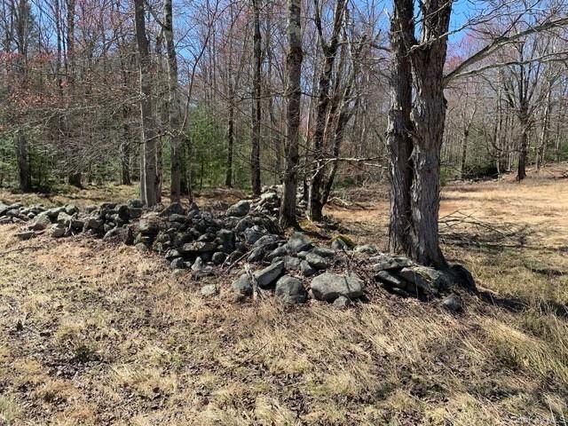 25 Wild Turnpike, Rock Hill, NY 12775