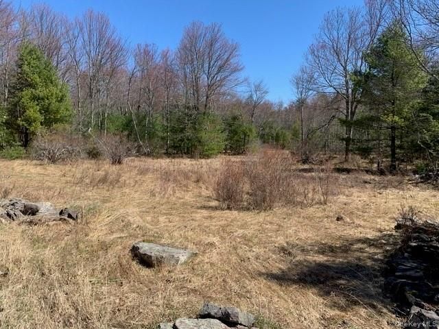 25 Wild Turnpike, Rock Hill, NY 12775