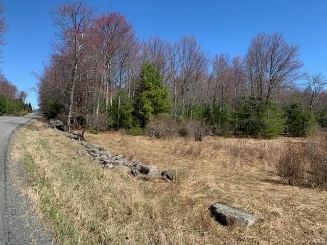 25 Wild Turnpike, Rock Hill, NY 12775