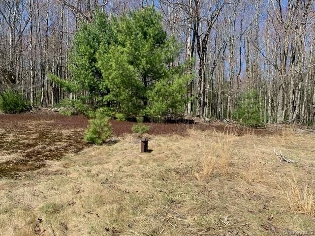 25 Wild Turnpike, Rock Hill, NY 12775