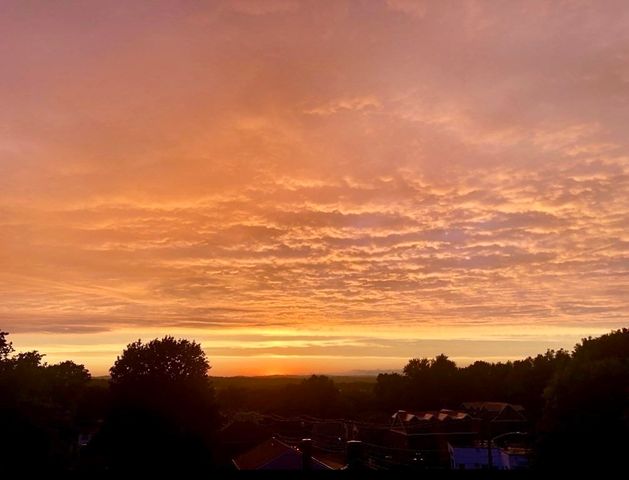 308 Quarry St 303, Quincy, MA 02169