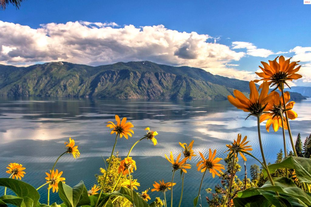 1770 & 1808 Garfield Bay Rd, Sagle, ID 83860 photo 93