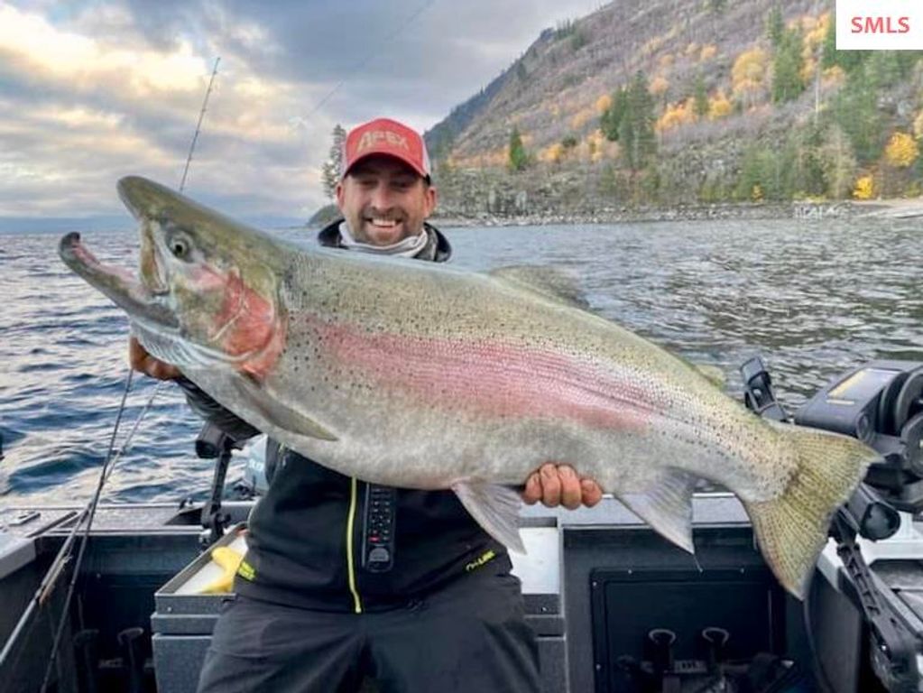 1770 & 1808 Garfield Bay Rd, Sagle, ID 83860 photo 94