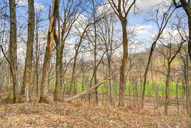 2955 Bostic Rd, Nolensville, TN 37135