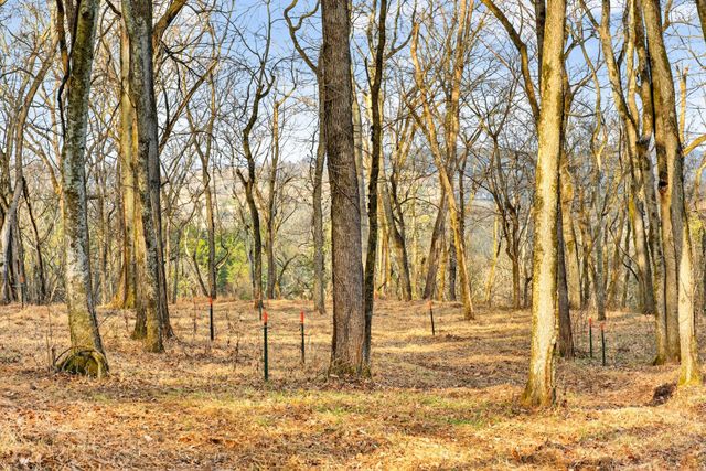 2955 Bostic Rd, Nolensville, TN 37135