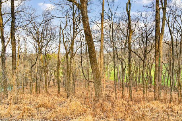 2955 Bostic Rd, Nolensville, TN 37135