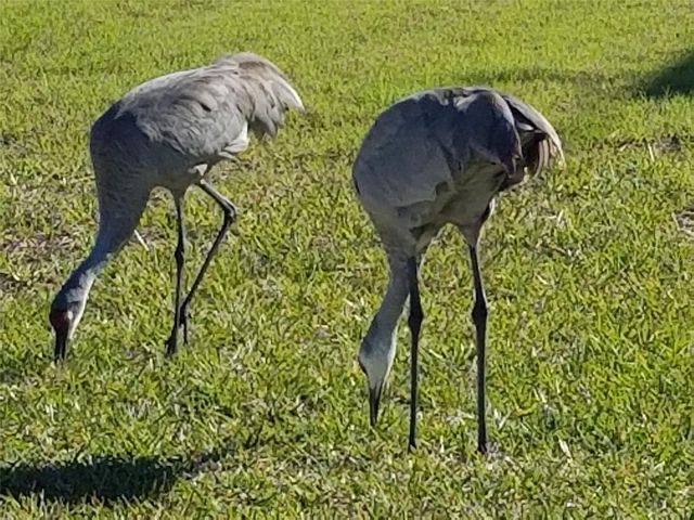 14603 MCDONALD LANE, Hudson, FL 34667