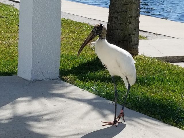 14603 MCDONALD LANE, Hudson, FL 34667