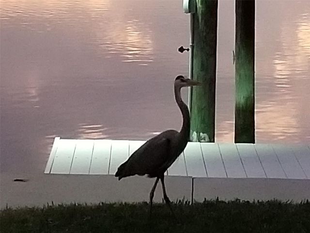 14603 MCDONALD LANE, Hudson, FL 34667