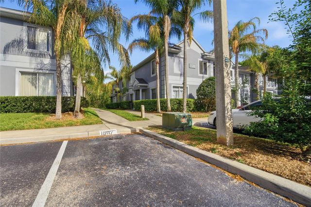 18117 PARADISE POINT DRIVE, Tampa, FL 33647