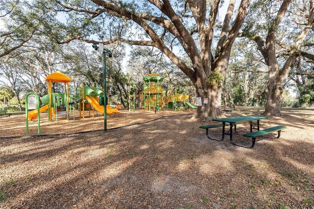 18117 PARADISE POINT DRIVE, Tampa, FL 33647