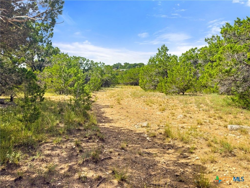 242 Thoroughbred Lane, Spring Branch, TX 78070