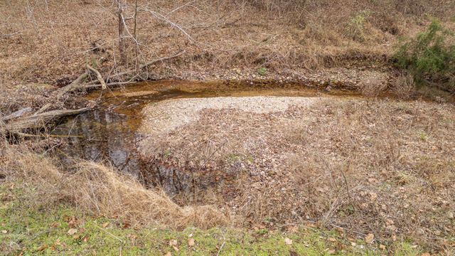 1709 Downing Hollow Rd, Waynesboro, TN 38485