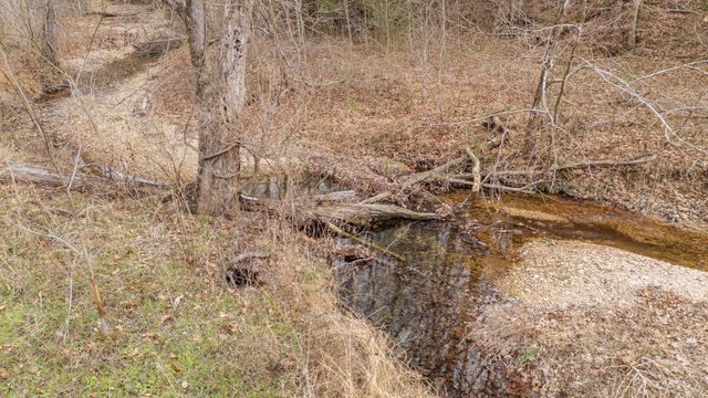 1709 Downing Hollow Rd, Waynesboro, TN 38485