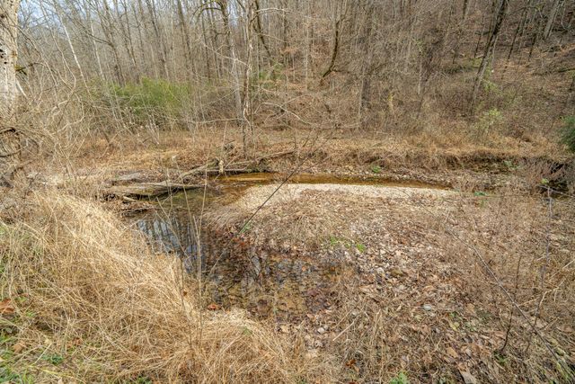 1709 Downing Hollow Rd, Waynesboro, TN 38485