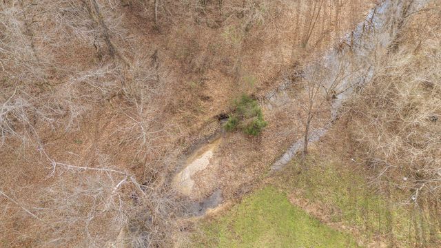 1709 Downing Hollow Rd, Waynesboro, TN 38485