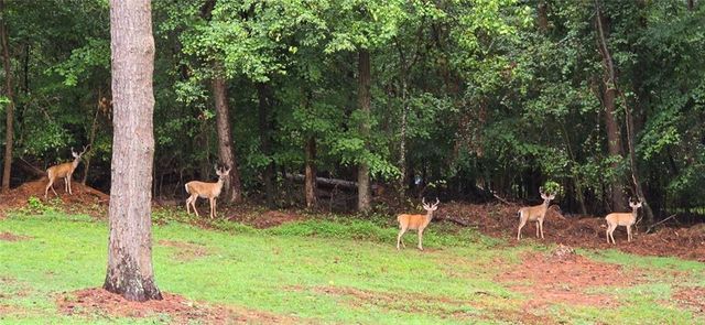 4279 Red Fox Trail Trail, Oakwood, GA 30566