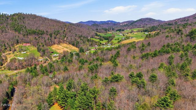 289 Myrtle Drive, Butler, TN 37640