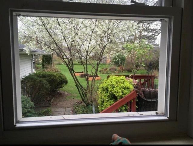 10040 Endicott Street, Belleville, MI 48111