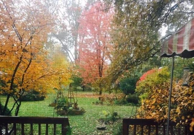 10040 Endicott Street, Belleville, MI 48111