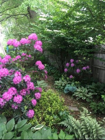 10040 Endicott Street, Belleville, MI 48111