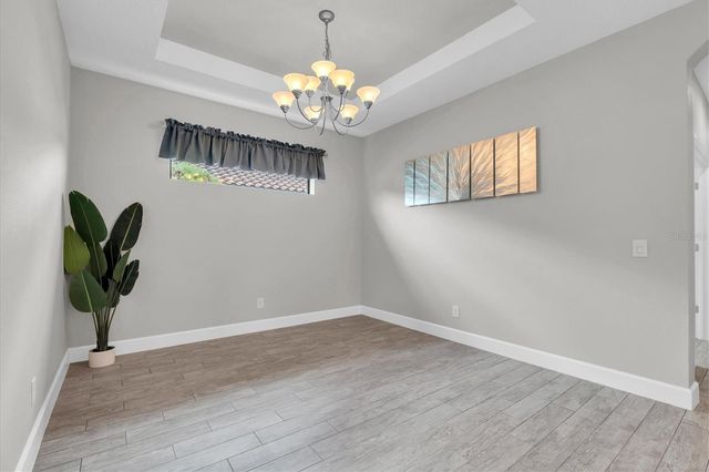 11257 CALLISIA DRIVE, Odessa, FL 33556