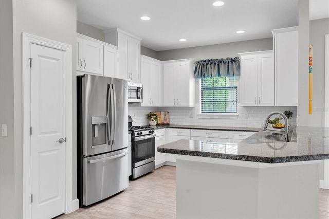 11257 CALLISIA DRIVE, Odessa, FL 33556