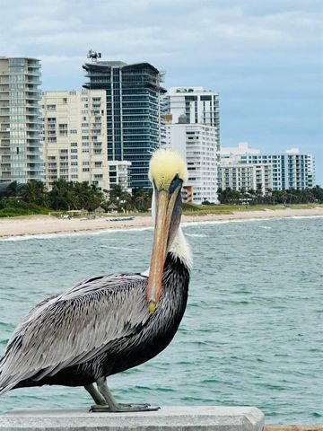 750 N OCEAN Boulevard 1202, Pompano Beach, FL 33062