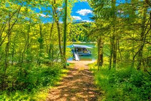 18992 Eagle Point Road, Eagle Rock, MO 65641