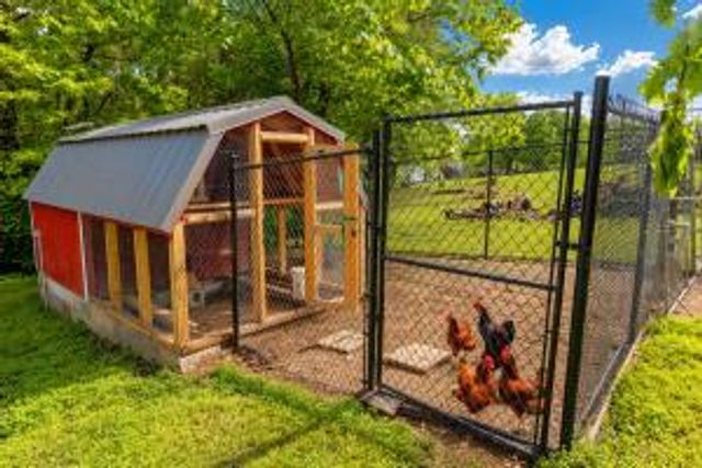18992 Eagle Point Road, Eagle Rock, MO 65641