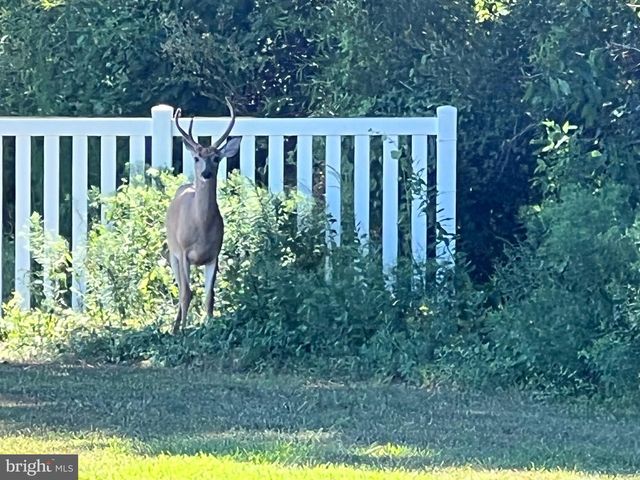 8334 S LONGBOAT WAY, Berlin, MD 21811