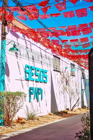 1723 N Edgefield Avenue, Dallas, TX 75208