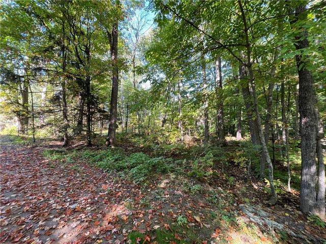 6073 Elsie Road, Stone Lake, WI 54876