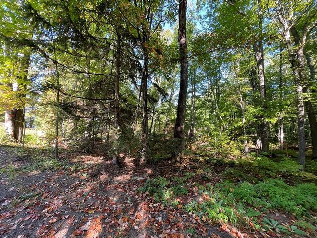 6073 Elsie Road, Stone Lake, WI 54876