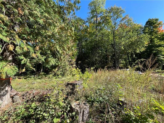 6073 Elsie Road, Stone Lake, WI 54876