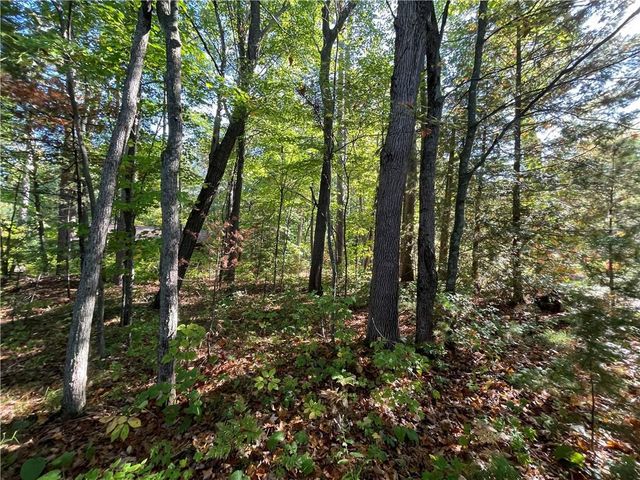 6073 Elsie Road, Stone Lake, WI 54876