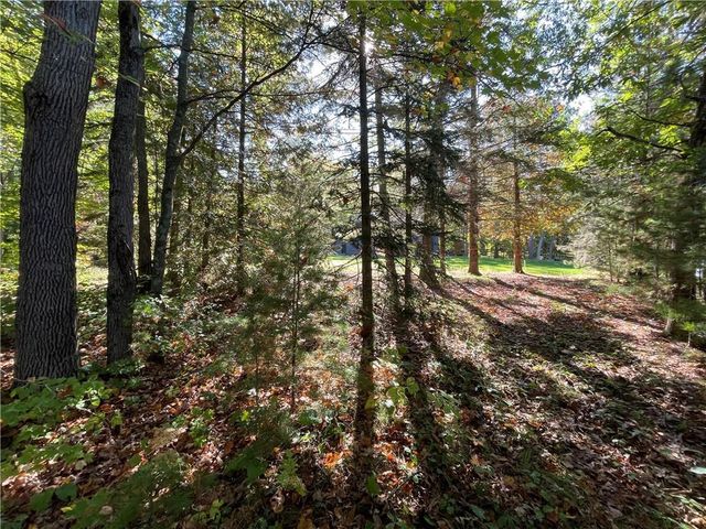 6073 Elsie Road, Stone Lake, WI 54876