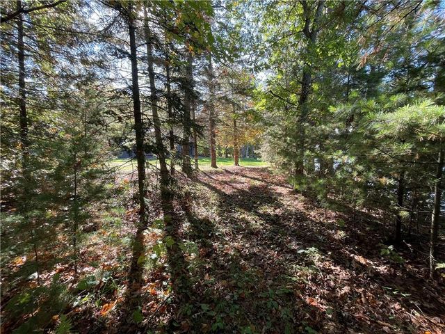 6073 Elsie Road, Stone Lake, WI 54876