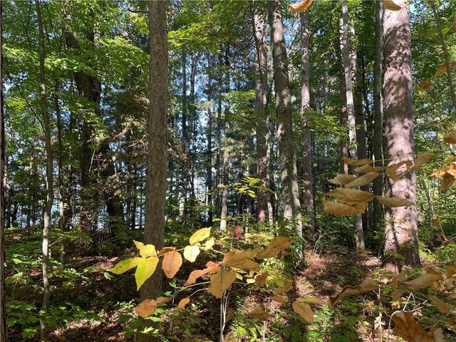 6073 Elsie Road, Stone Lake, WI 54876