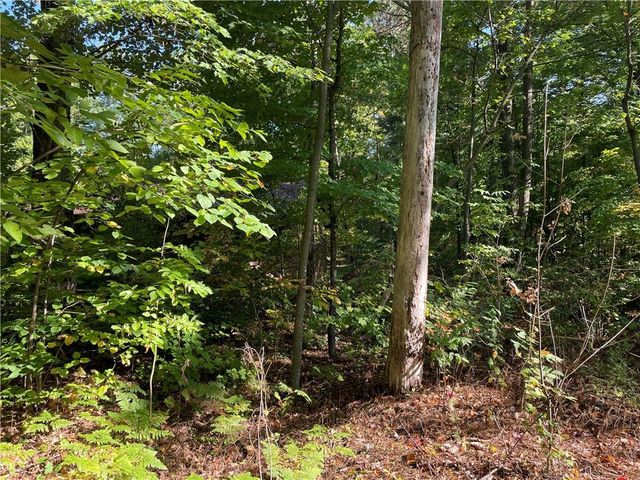 6073 Elsie Road, Stone Lake, WI 54876