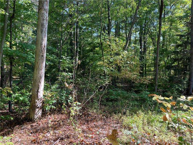 6073 Elsie Road, Stone Lake, WI 54876