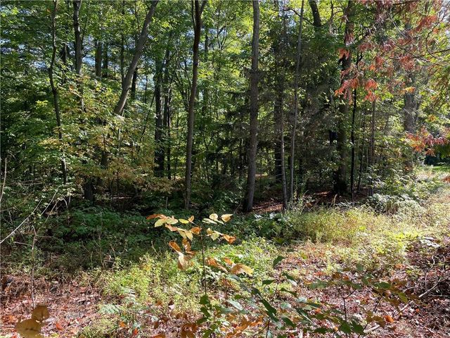 6073 Elsie Road, Stone Lake, WI 54876