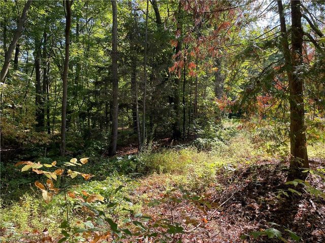 6073 Elsie Road, Stone Lake, WI 54876