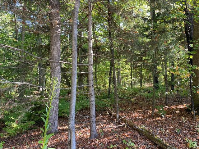 6073 Elsie Road, Stone Lake, WI 54876