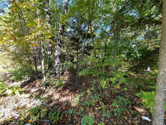 6073 Elsie Road, Stone Lake, WI 54876