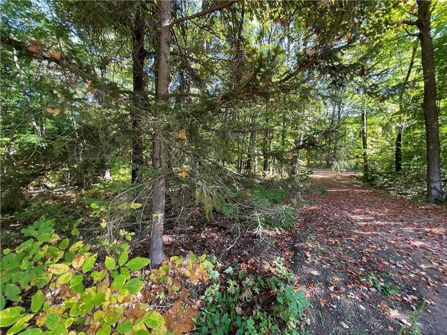 6073 Elsie Road, Stone Lake, WI 54876