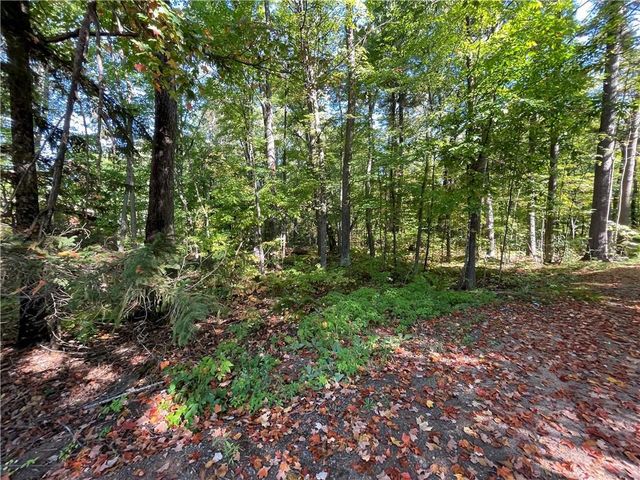 6073 Elsie Road, Stone Lake, WI 54876