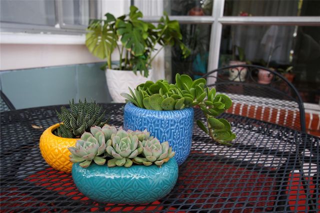 1011 E CRENSHAW STREET, Tampa, FL 33604