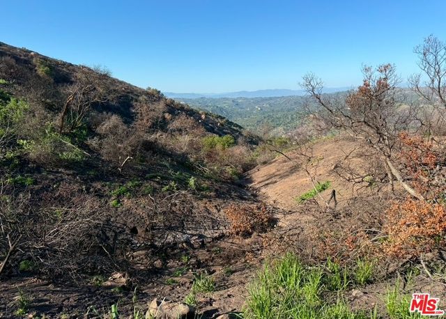 0 Fir Ridge Drive, Topanga, CA 90290